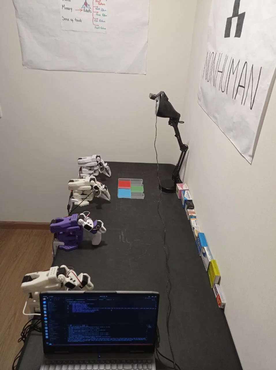 BISO-ARM100: Automated Medication Sorting via Imitation Learning - Image 1